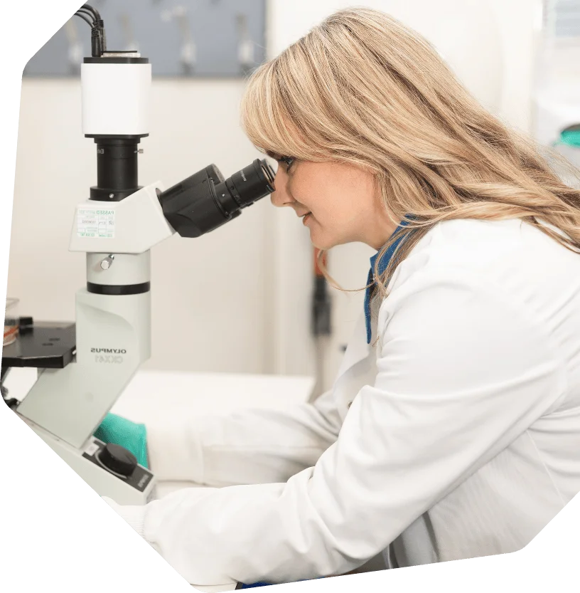 This image shows an individual using an inverted microscope in a laboratory setting